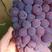 葡萄品种齐全茉莉香着色香葡萄大量上市中欢迎咨询
