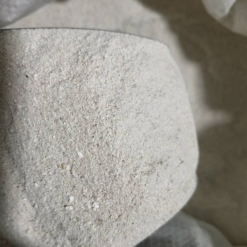 龙骨粉实图拍摄当天发货物美价廉重在品质欢迎选购