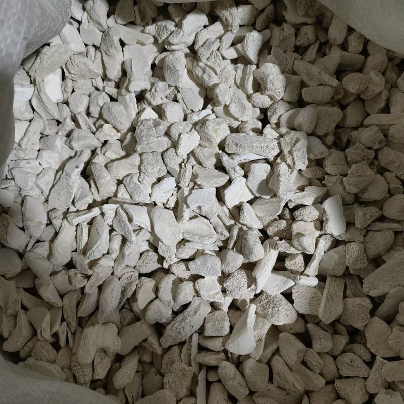 龙骨粉实图拍摄当天发货物美价廉重在品质欢迎选购
