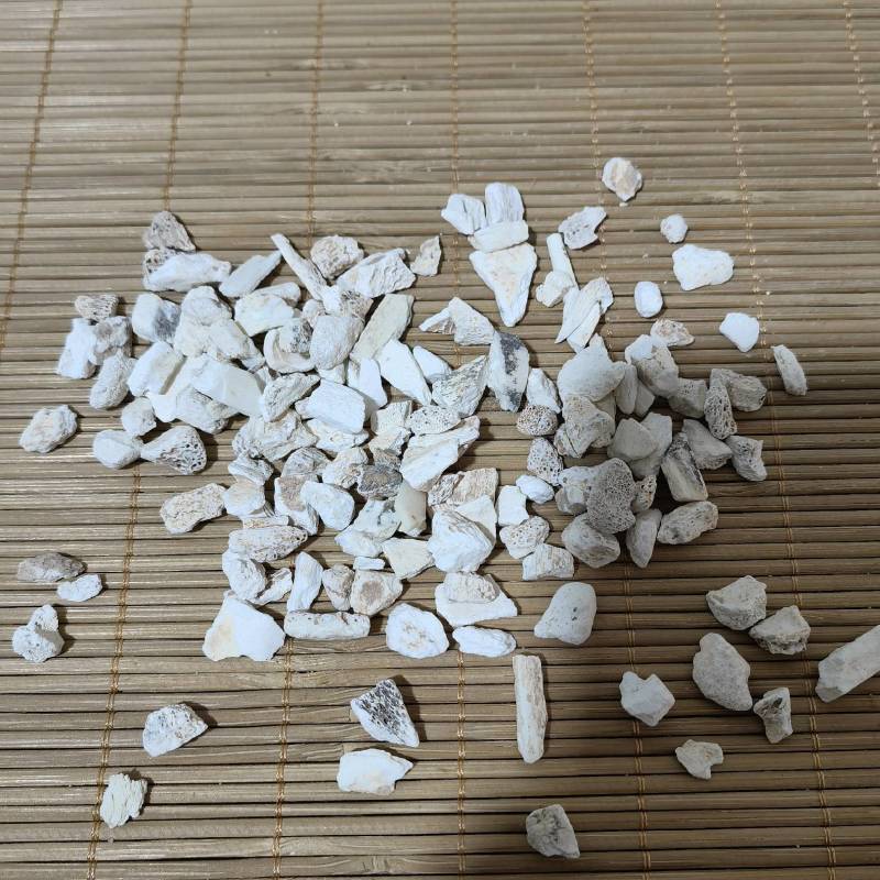 龙骨粉实图拍摄当天发货物美价廉重在品质欢迎选购