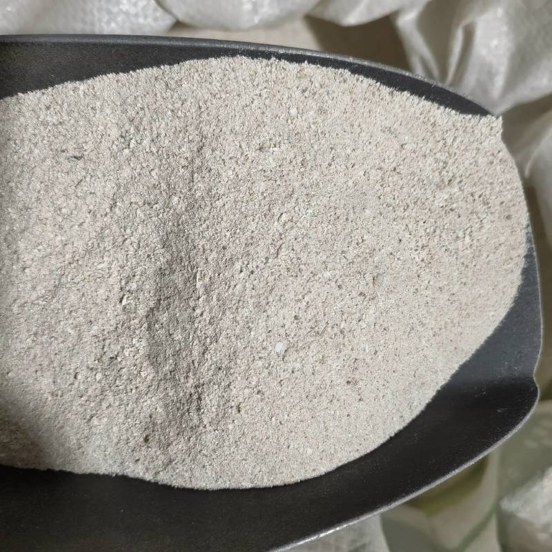 龙骨粉实图拍摄当天发货物美价廉重在品质欢迎选购
