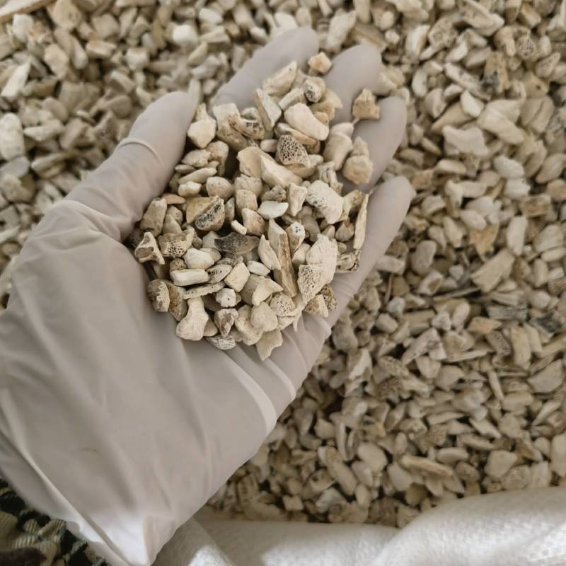 龙骨粉实图拍摄当天发货物美价廉重在品质欢迎选购