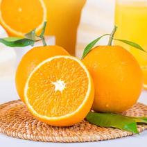 【35秒10斤】秭归春橙伦晚脐橙新鲜应季水果