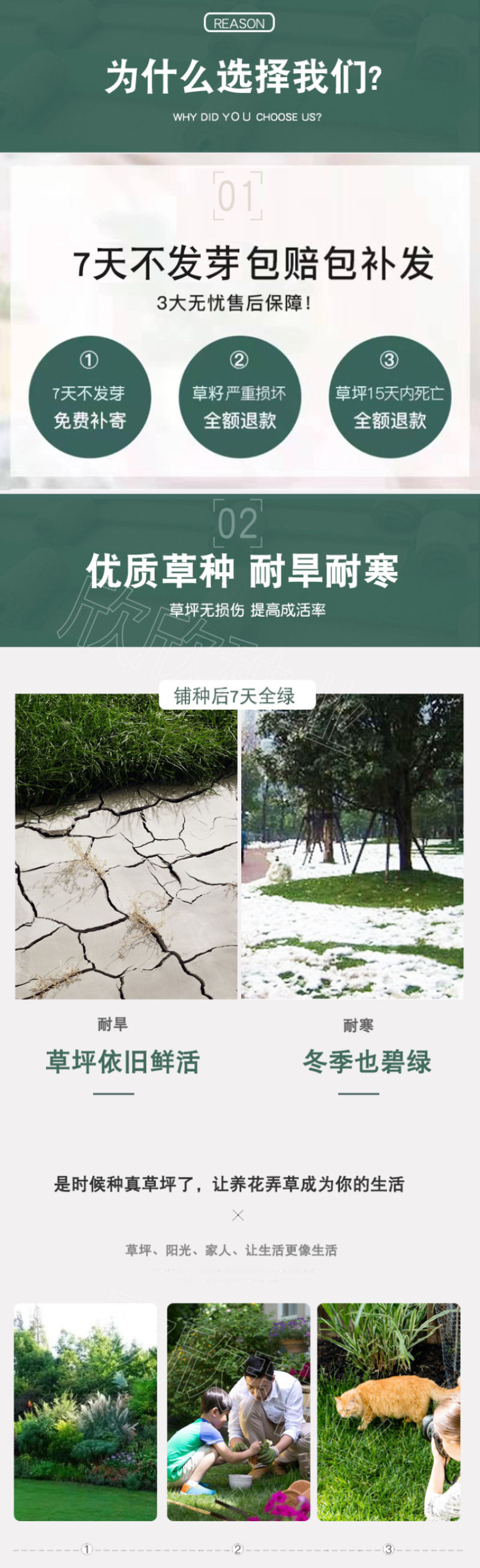 草坪种子四季青庭院耐旱耐踩黑麦草狗牙根草子种护坡绿化种子