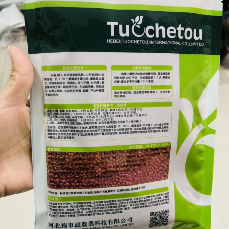 火焰山进口菠菜种子籽四季高产抗病耐热圆叶