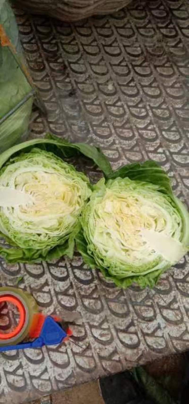 娃娃菜半毛菜