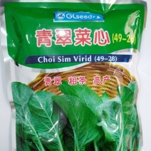 青翠菜心，生长旺盛，耐热，耐湿，叶冰较短，菜苔粗，品质佳