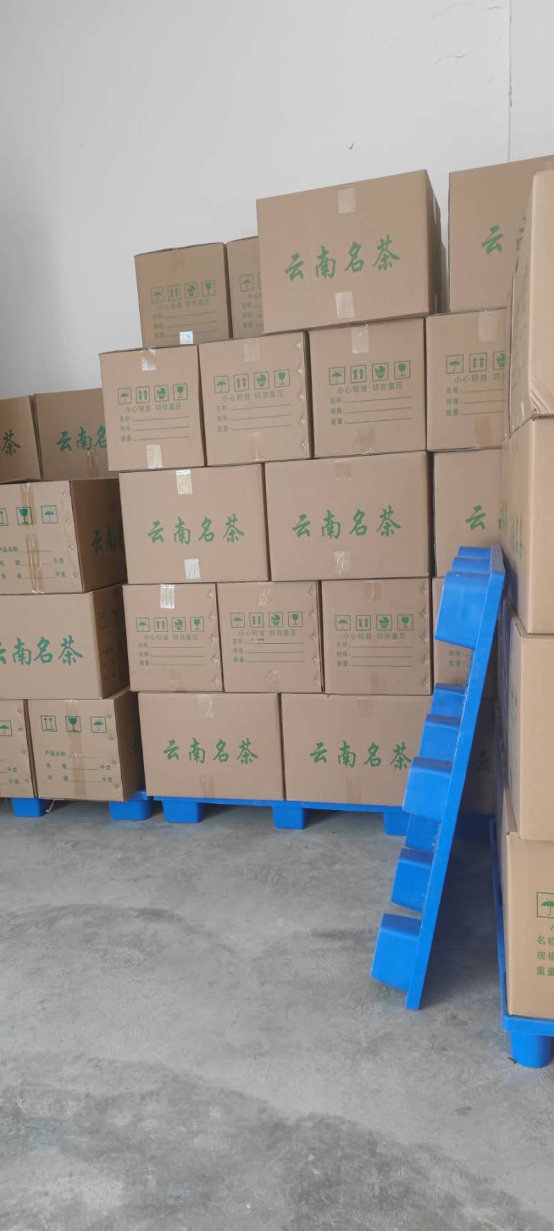 【精品】2025古树红茶，薯香，蜜香，汤色透亮，金黄