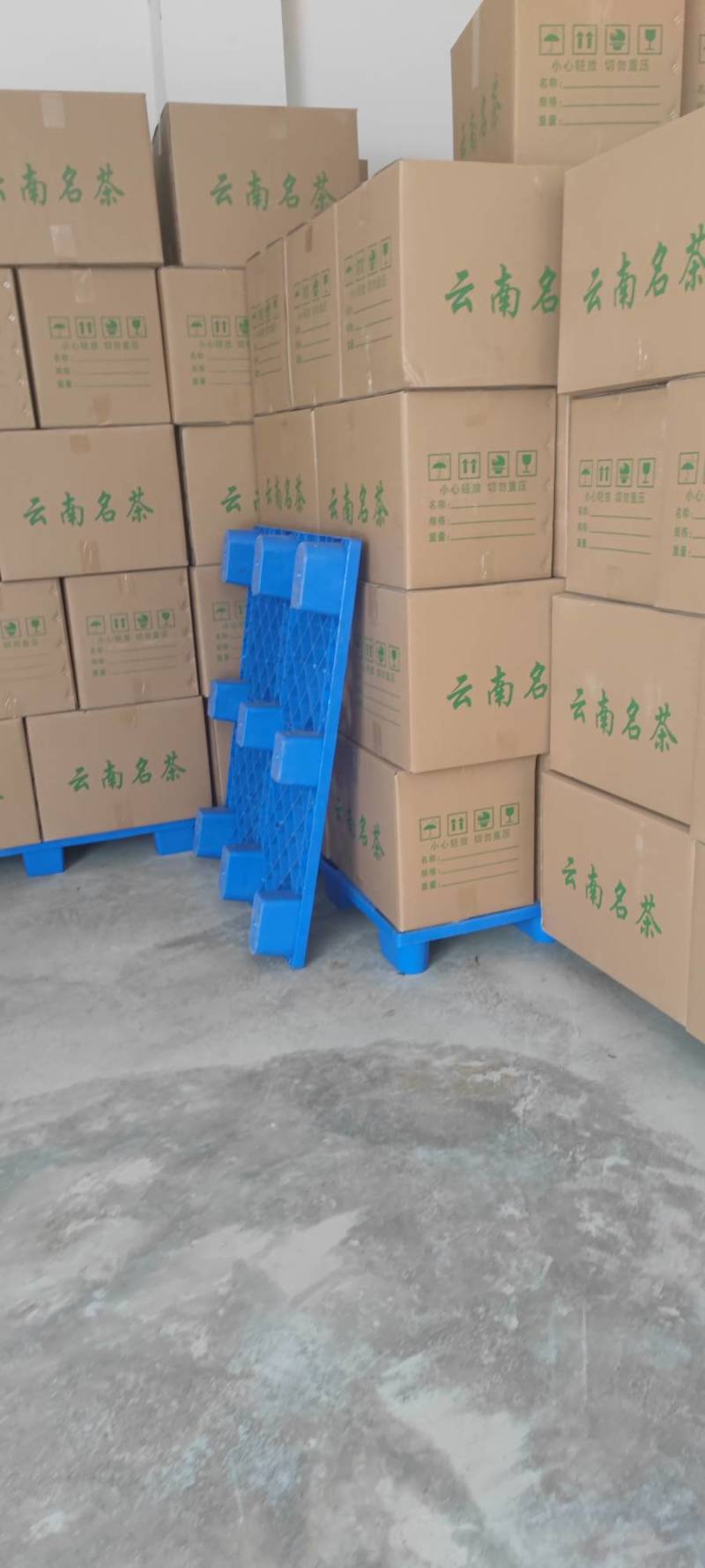 【精品】2025古树红茶，薯香，蜜香，汤色透亮，金黄