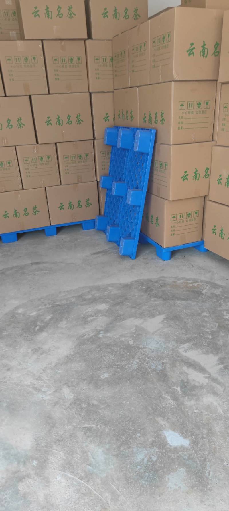 【精品】2025古树红茶，薯香，蜜香，汤色透亮，金黄