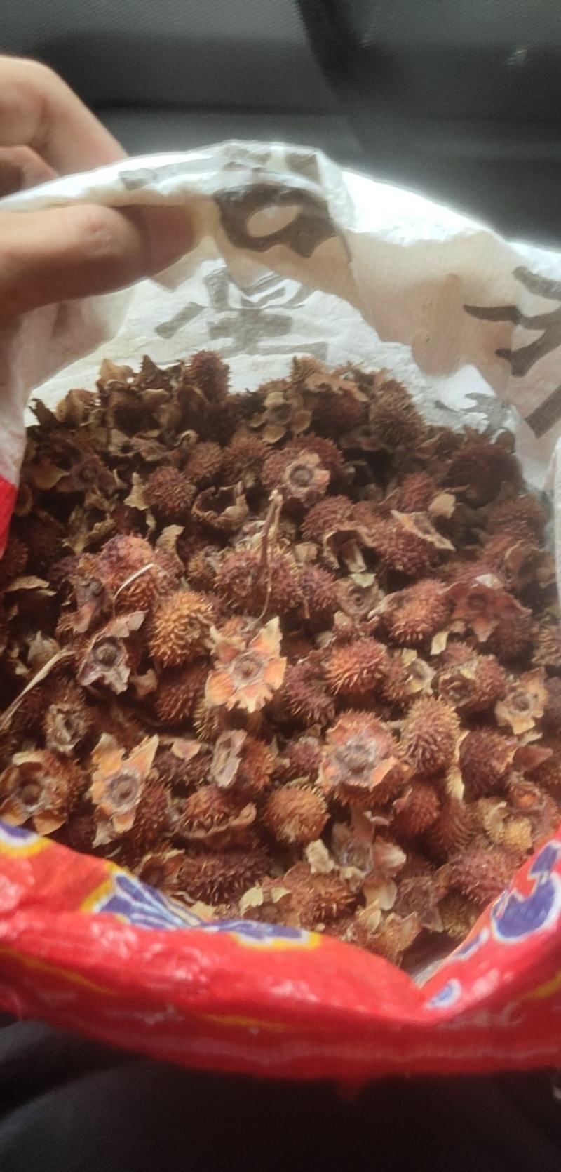 今年预订的老板们可以预订了