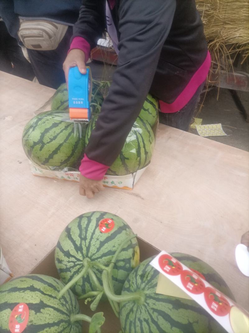 精品美都有籽，无籽都有，口感甜，皮毛好，一手货源