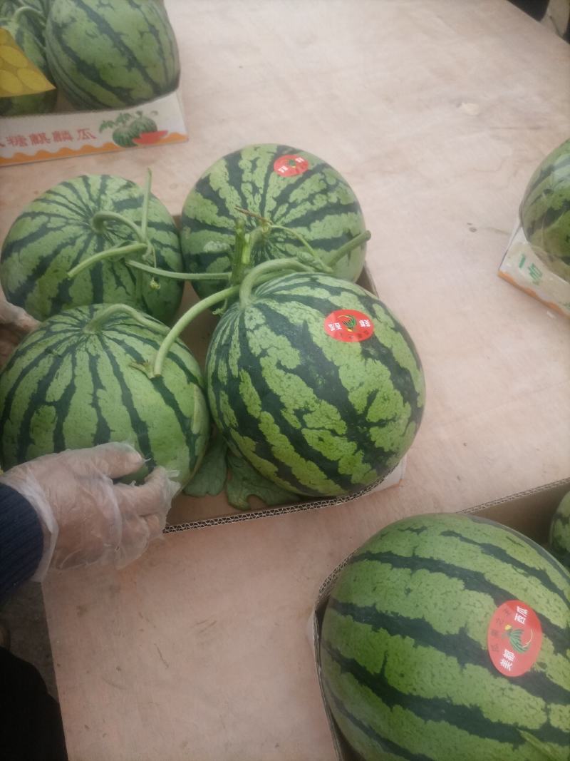 精品美都有籽，无籽都有，口感甜，皮毛好，一手货源