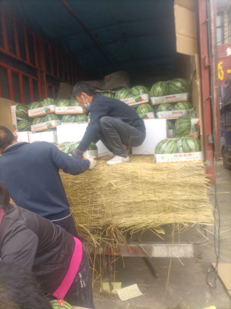 精品美都有籽，无籽都有，口感甜，皮毛好，一手货源