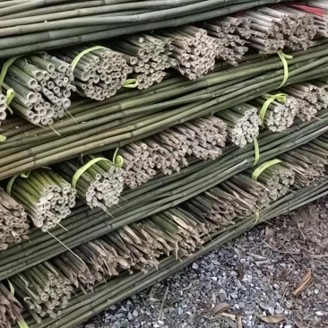 精选竹竿产地直销菜架竹豆角架，西红柿架，黄瓜架，果蔬竹竿