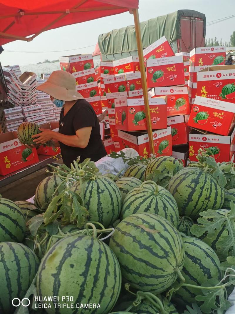 西瓜上市中，大量提供各种品种的现货，欢迎各位前来采购！