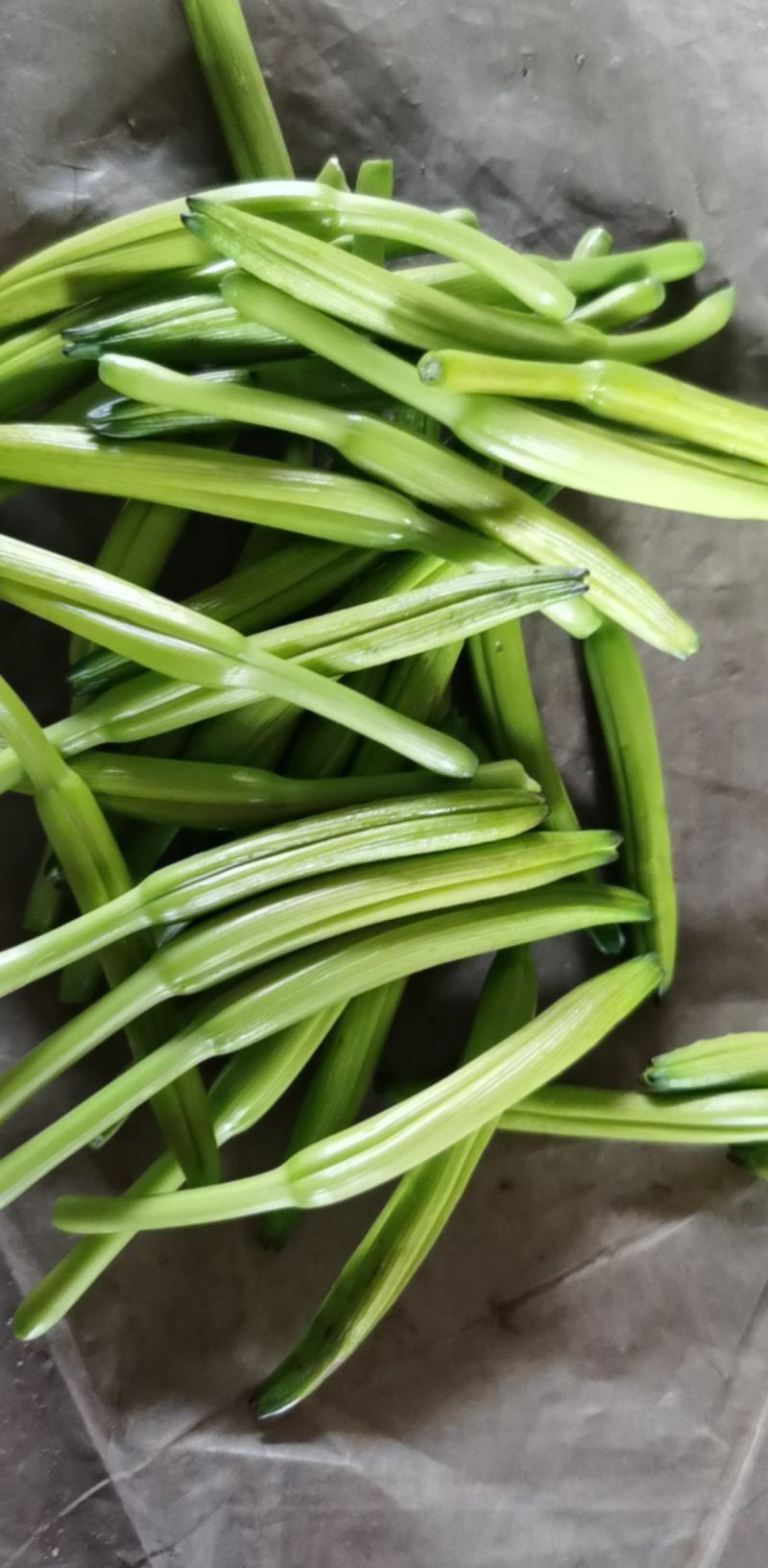 黄花菜3月初大量上市，欢迎预定新鲜黄花菜货好农家自产自销