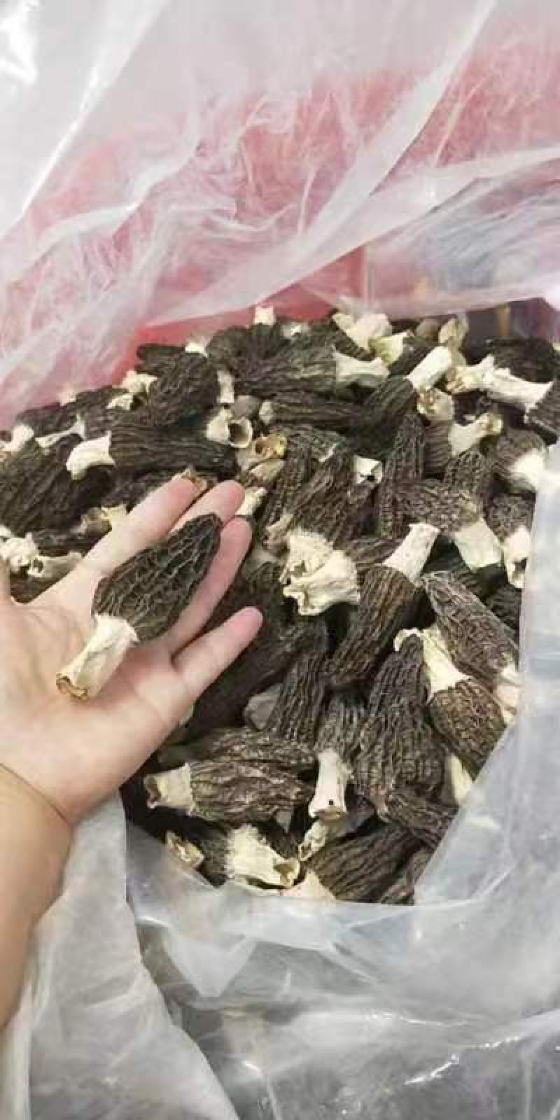 新品羊肚菌，高营养好品质干货