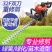 新款汽油茶叶茶树修剪机剪茶机绿篱机园林绿化粗枝华盛重修王
