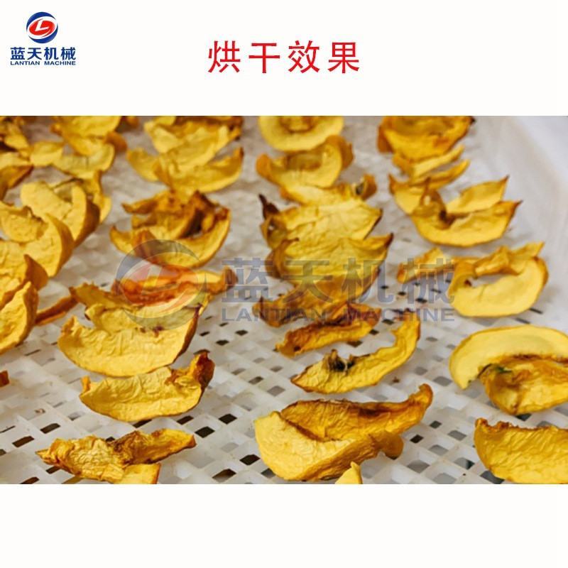 黄桃干烘干机小型桃干水蜜桃桃子肉烘干房蜜饯果脯干燥机