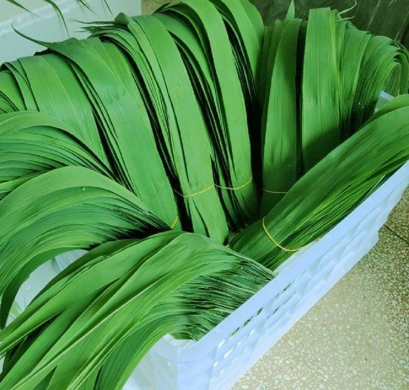 粽子叶野生芦苇叶大量上市可长期供应寻长期合作
