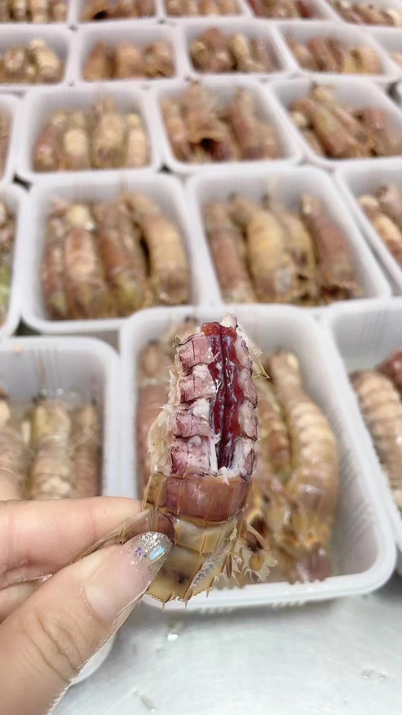 大母大公中号大母大公都有货