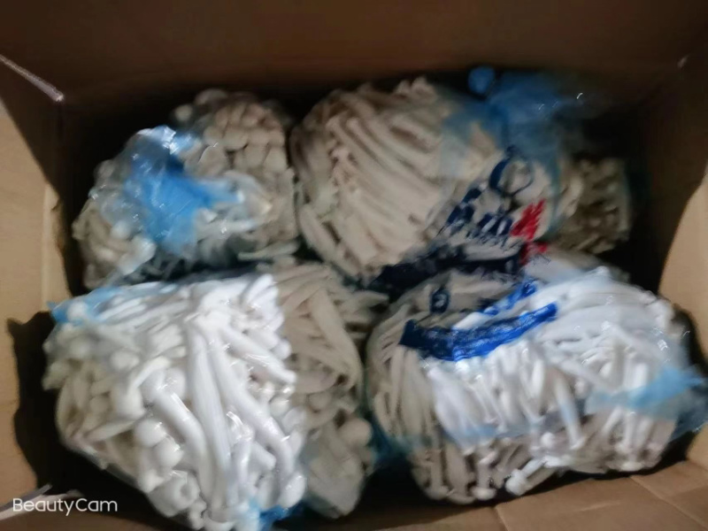 大量供应海鲜菇产地直销常年有货