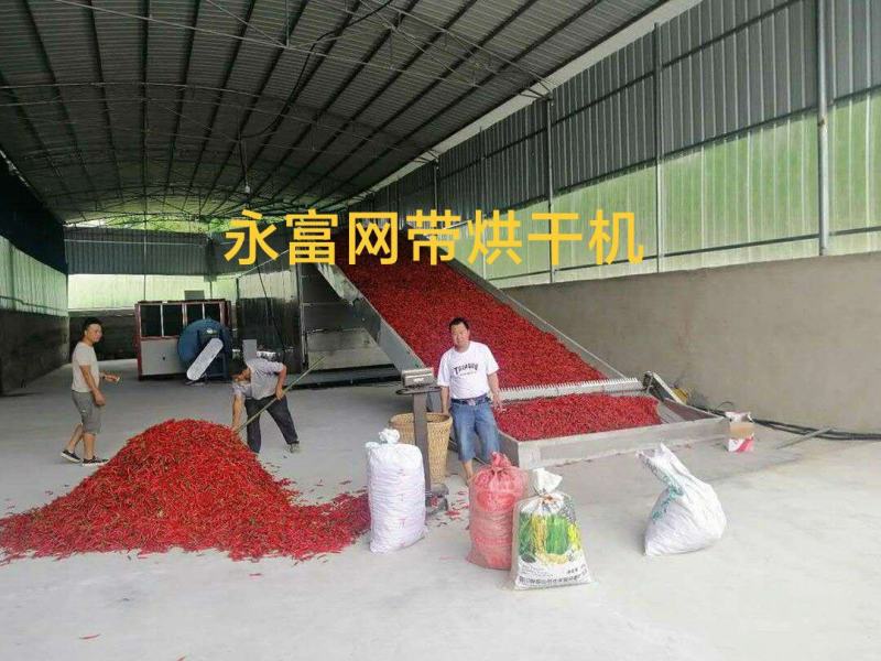 辣椒烘干房，辣椒烘干机，辣椒烘干箱，辣椒烘干设备，烤房