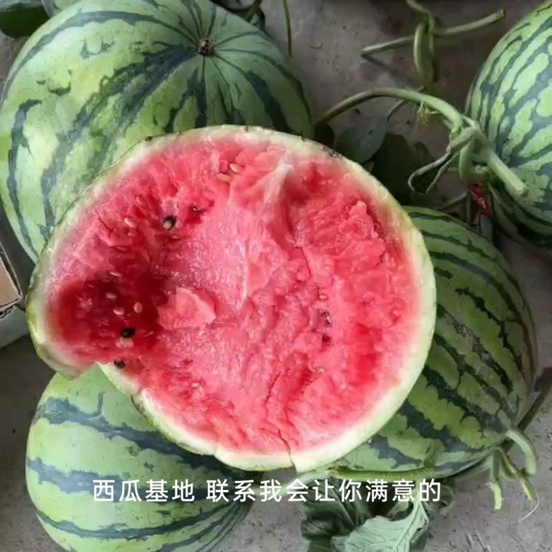 美都西瓜麒麟美都西瓜基地直销皮薄瓤甜，头茬好货
