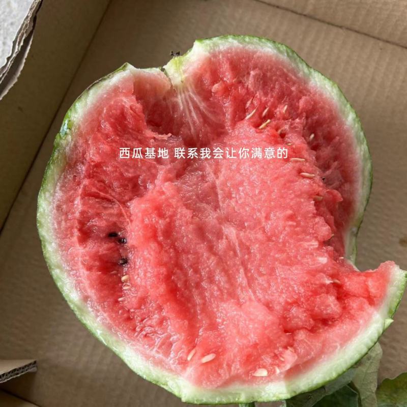 美都西瓜麒麟美都西瓜基地直销皮薄瓤甜，头茬好货