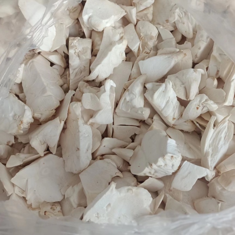 新鲜菇片长年供应产地直销
