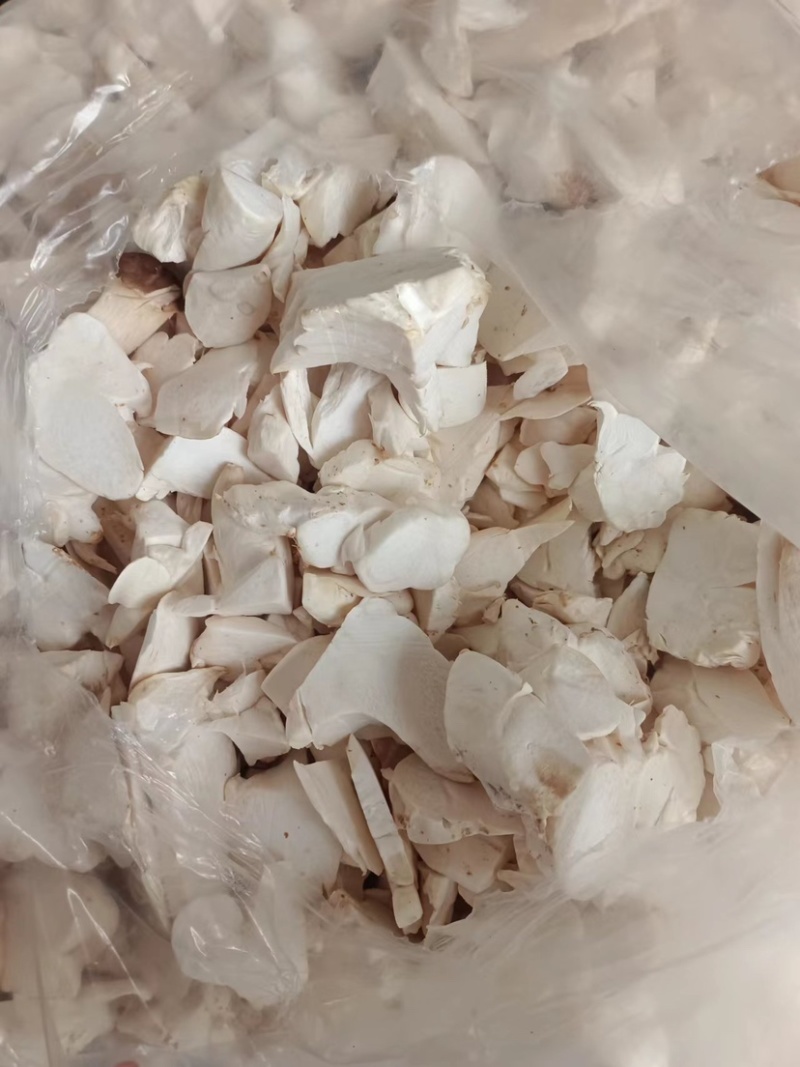 新鲜菇片长年供应产地直销