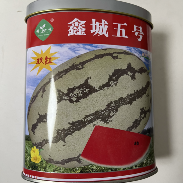 双红鑫城五号西瓜种子品种大红瓤品种种子