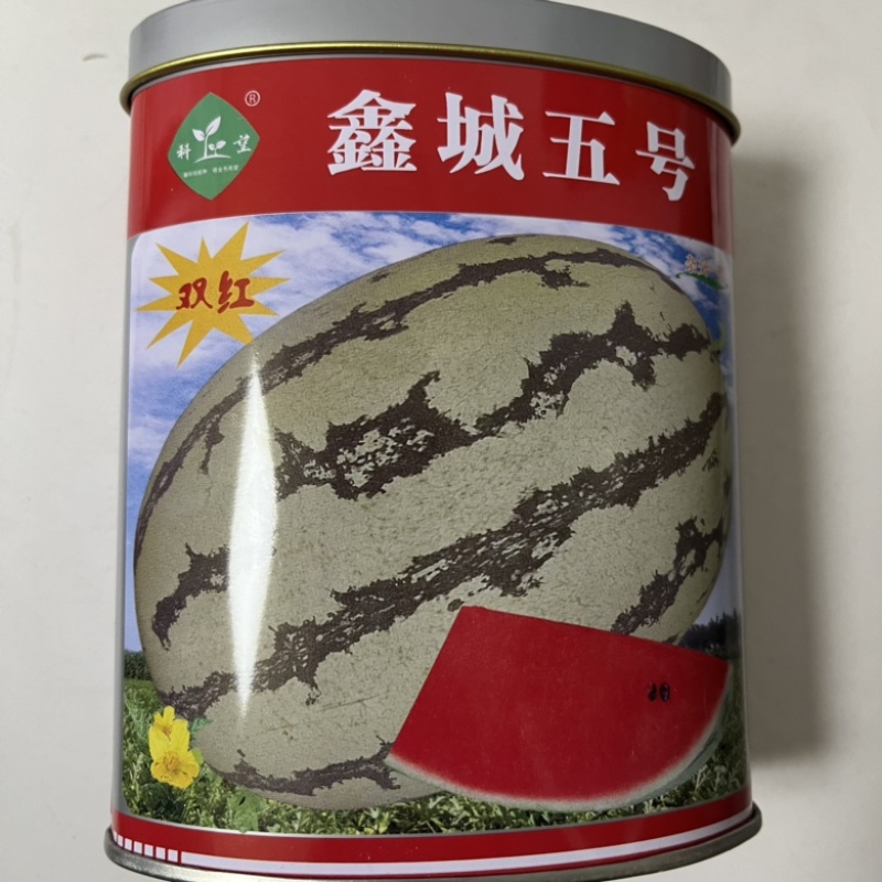 双红鑫城五号西瓜种子品种大红瓤品种种子