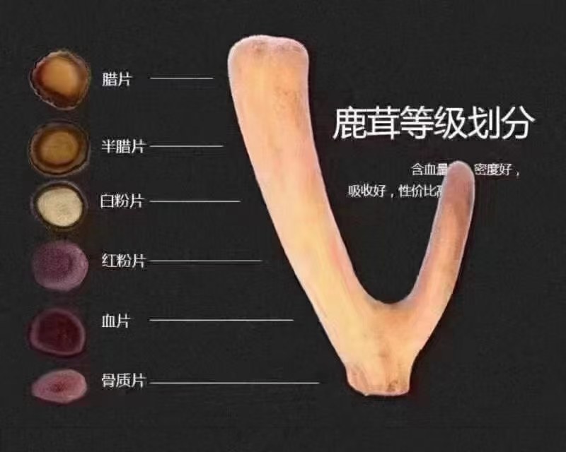 长白山梅花鹿鹿茸鹿茸片干鹿茸东北纯正源头批发直销一件代发