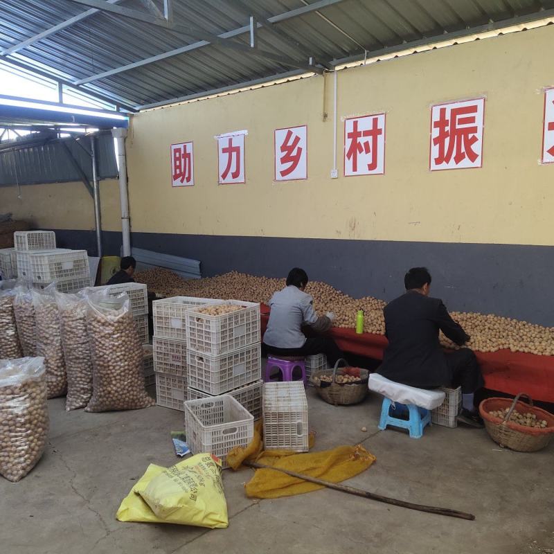 陕西黄龙香玲核桃
