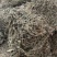 云南野生车前草量大从优产地直发100斤包邮