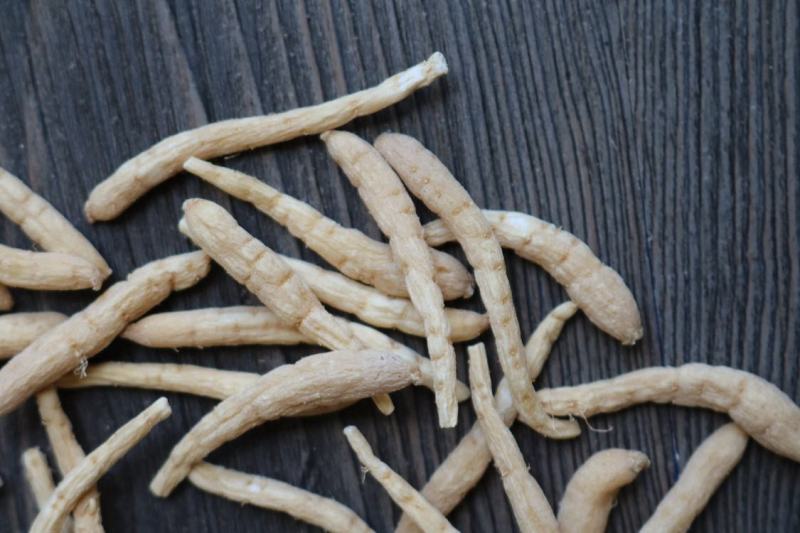 广州人精品特大太子参颗粒饱满肉质白一件代发批发