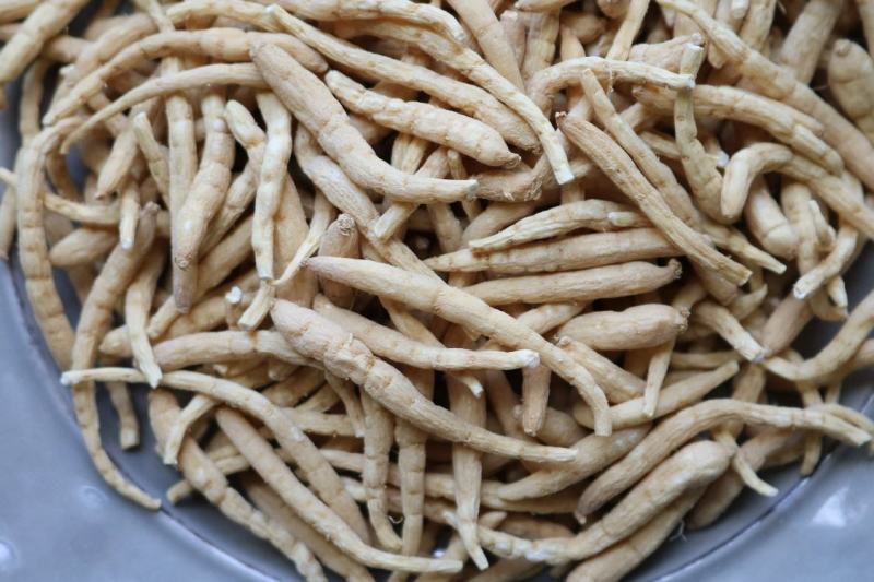 广州人精品特大太子参颗粒饱满肉质白一件代发批发