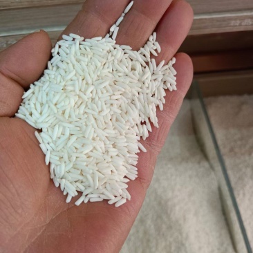 长糯米粘度好大粒糯米质量好价格美丽量大从优