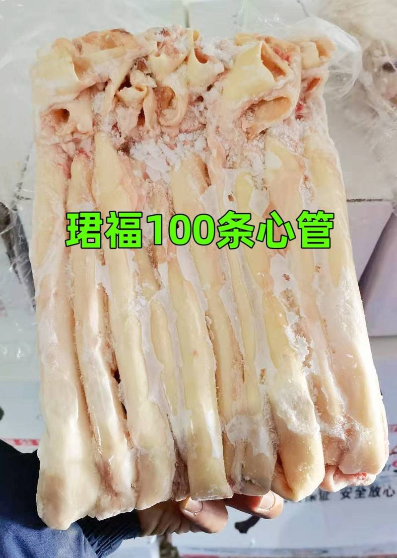 心管，珺福猪心管，珺福心管，心血管，猪心管，珺福猪心血管