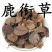 鹿含草野生货，生长在高山老林。