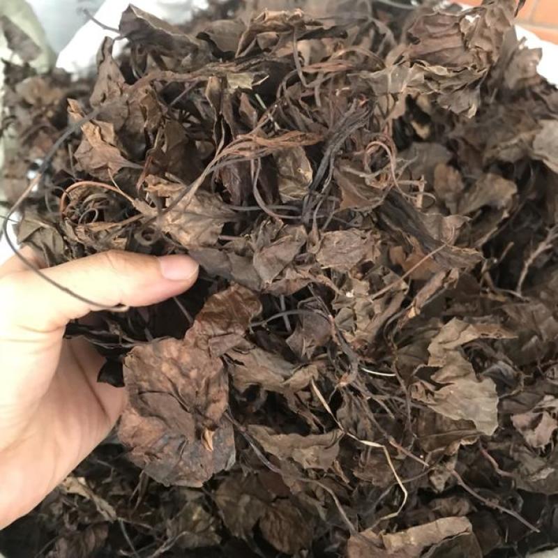鹿含草野生货，生长在高山老林。