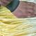 小薛韭黄种植基地批发各类精品韭黄，做的是质量，讲的是诚信