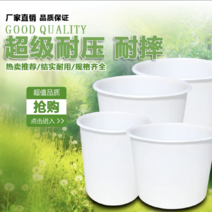 pe食品级塑料桶储水桶储物桶养殖桶泡菜桶