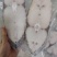 【推荐】深海天然鳕鱼片，美味，鲜嫩，品质保证，诚信经营