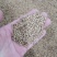 新采花卉香豌豆种子花豌豆香豌豆攀援性草本花卉易播种