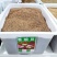 新采花卉香豌豆种子花豌豆香豌豆攀援性草本花卉易播种