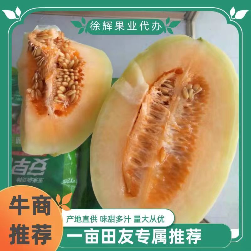 东方蜜1号甜瓜，头茬鲜瓜，红肉脆甜，1.5斤以上，原产地