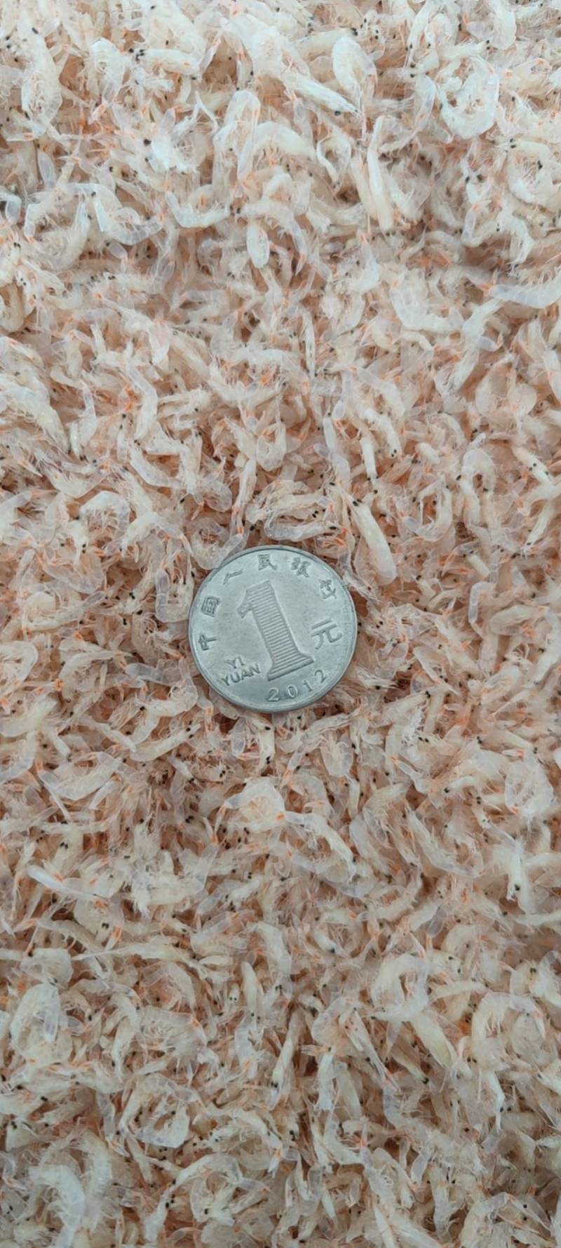 淡干小虾皮电商超市专用